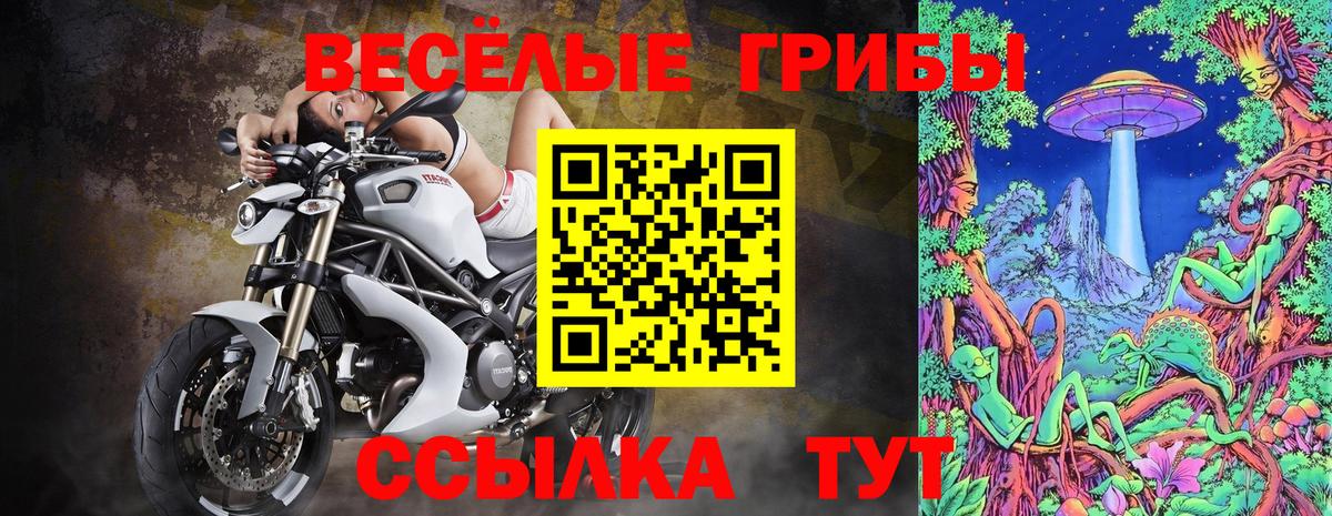 Чебаркуль  Псилоцибиновые грибы мухоморы  цена   Вход с VPN 