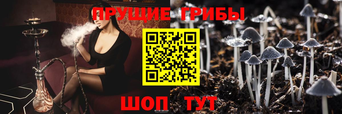Псилоцибиновые грибы MAGIC MUSHROOMS Чебаркуль